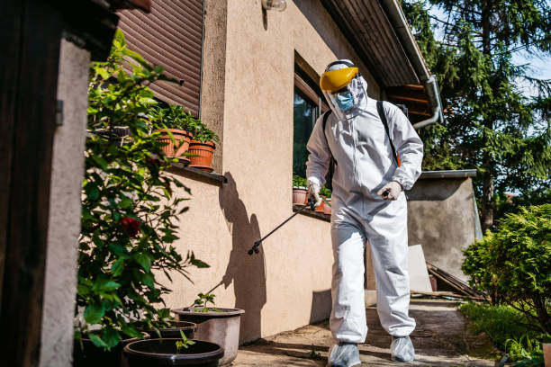 Bird Control in Occoquan, VA